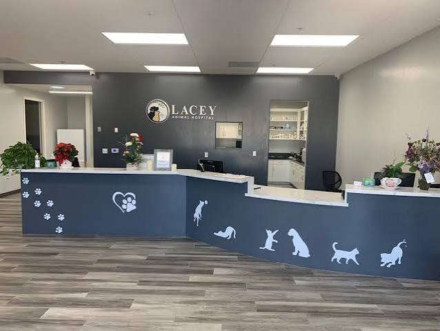 Veterinary clinic and animal hospital cleaning